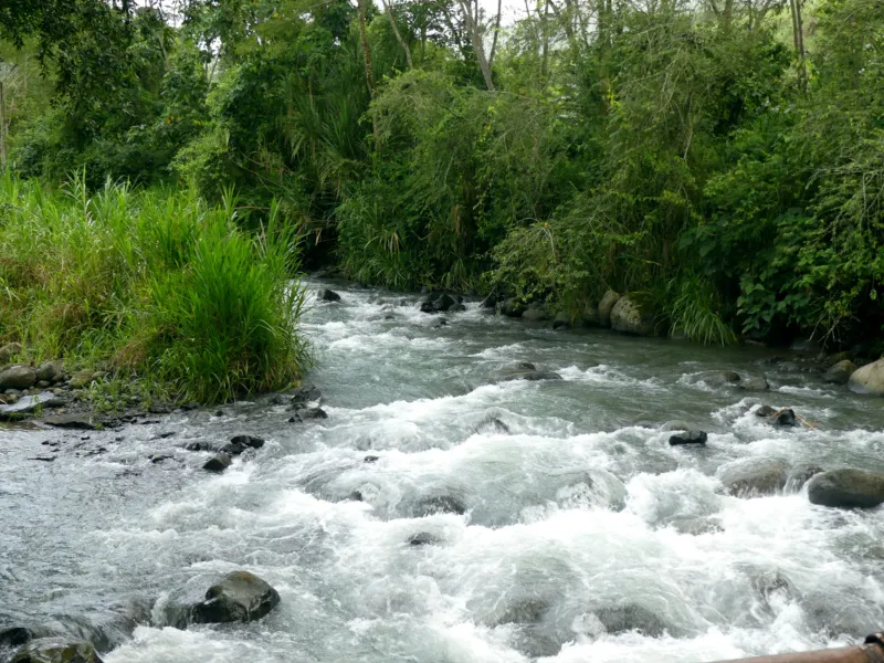 Atirro River 2.jpg