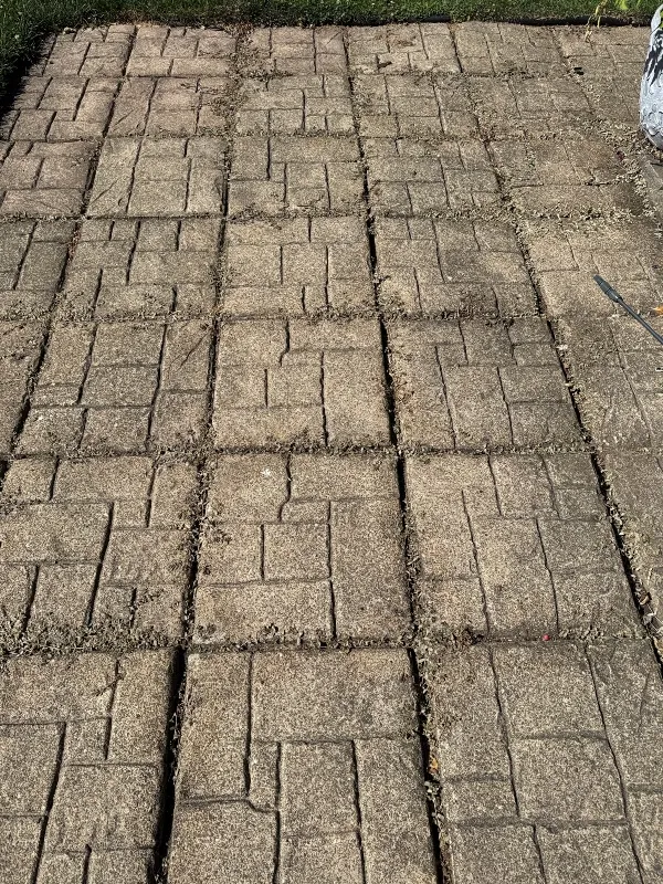 hivegarden-patio-1.jpg