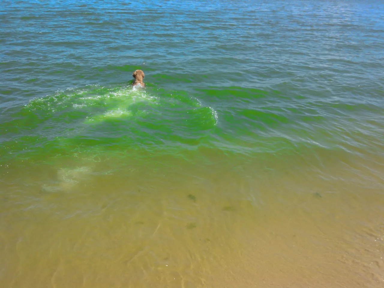 WP_20160826_033.jpg