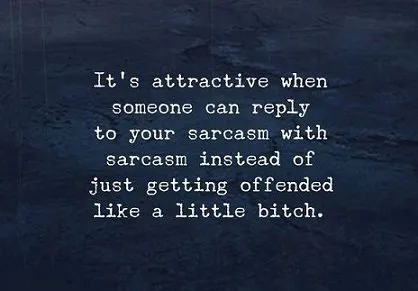 Sarcasm Bitch 2.jpg