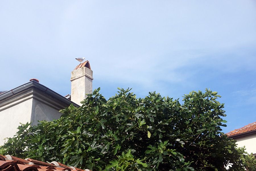 Nessebar_Views_and_Details_016_s.jpg