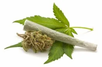 Marijuana