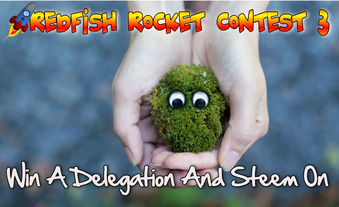 Redfish Rocket Contest - win a delegation