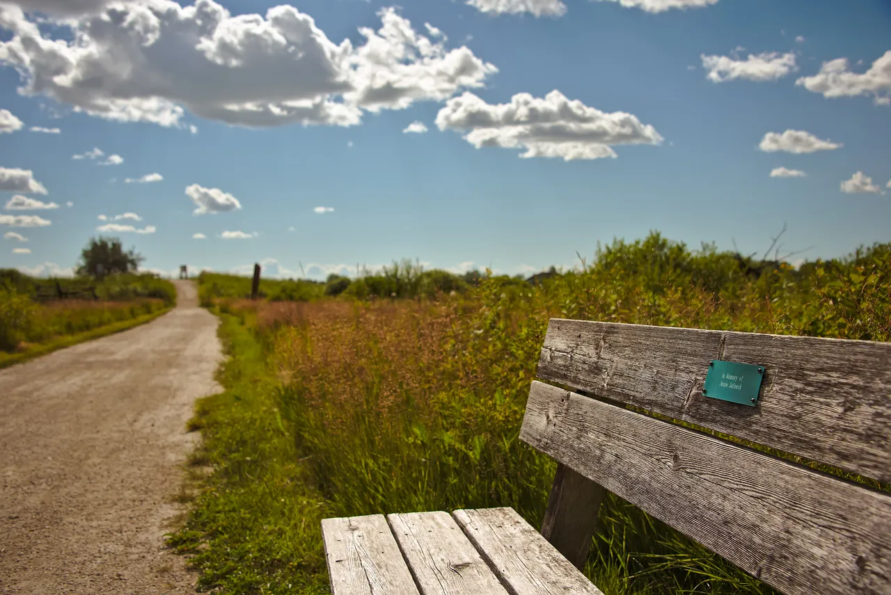 The bench on the road