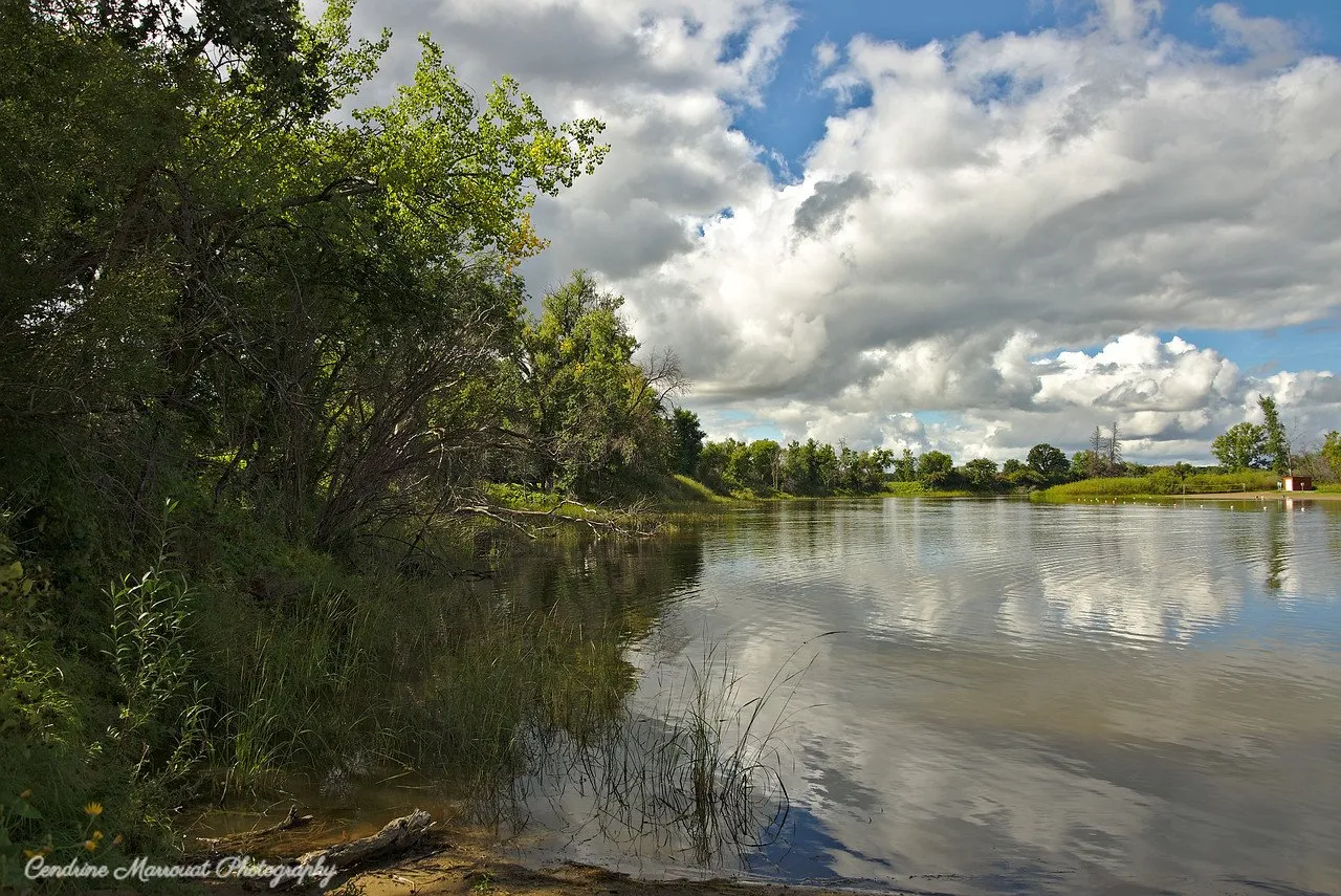 Spruce Woods Provincial Park, Canada