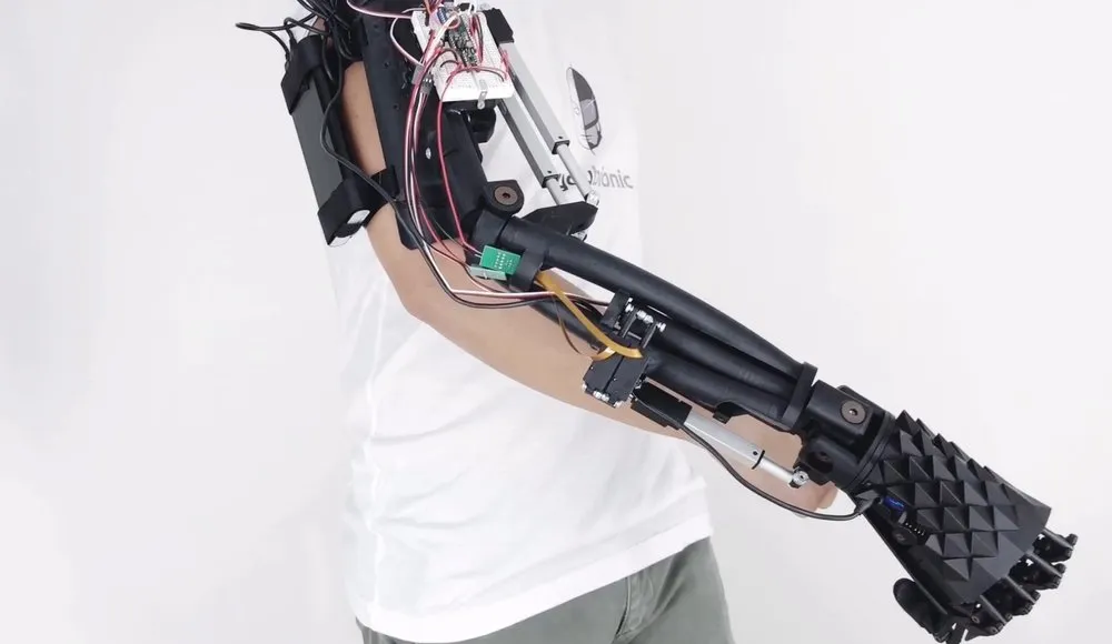 arm4.jpeg