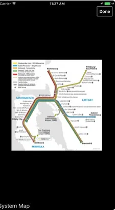 bart3.jpg