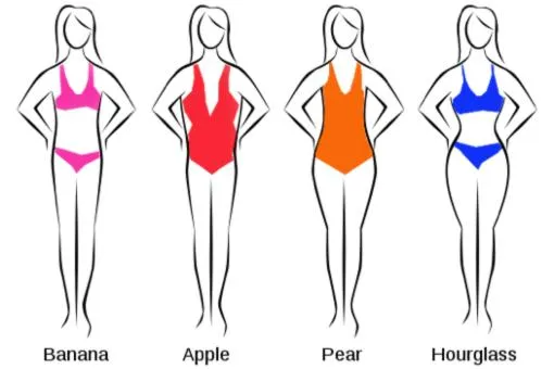 body shapes 5.jpg