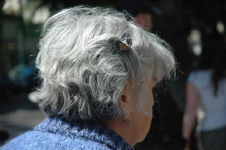 woman-208723__480.jpg
