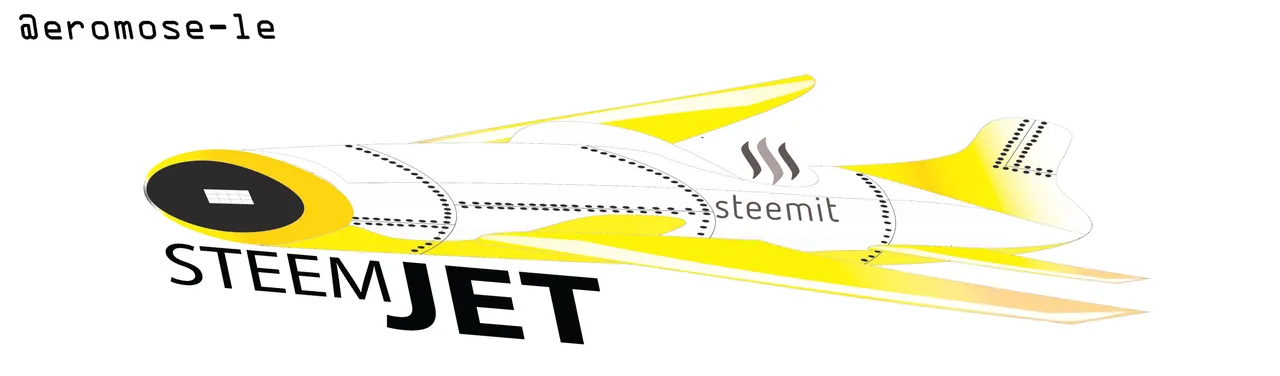 REAL NAEW JET.jpg