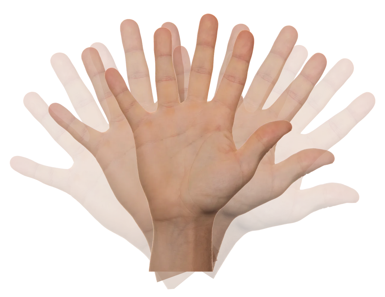 hand-2415036_1920.png