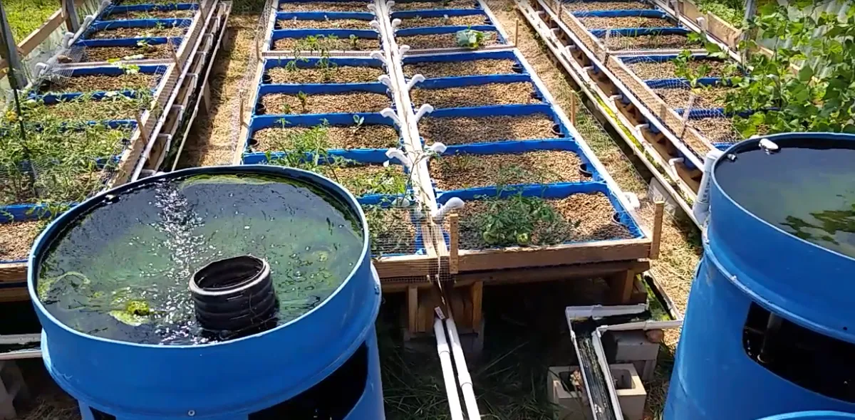 inside-aquaponics.jpg