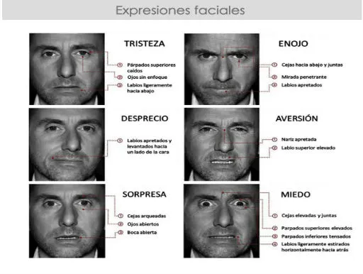 Sin título.jpg