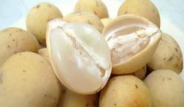 3. buah-langsat.jpg