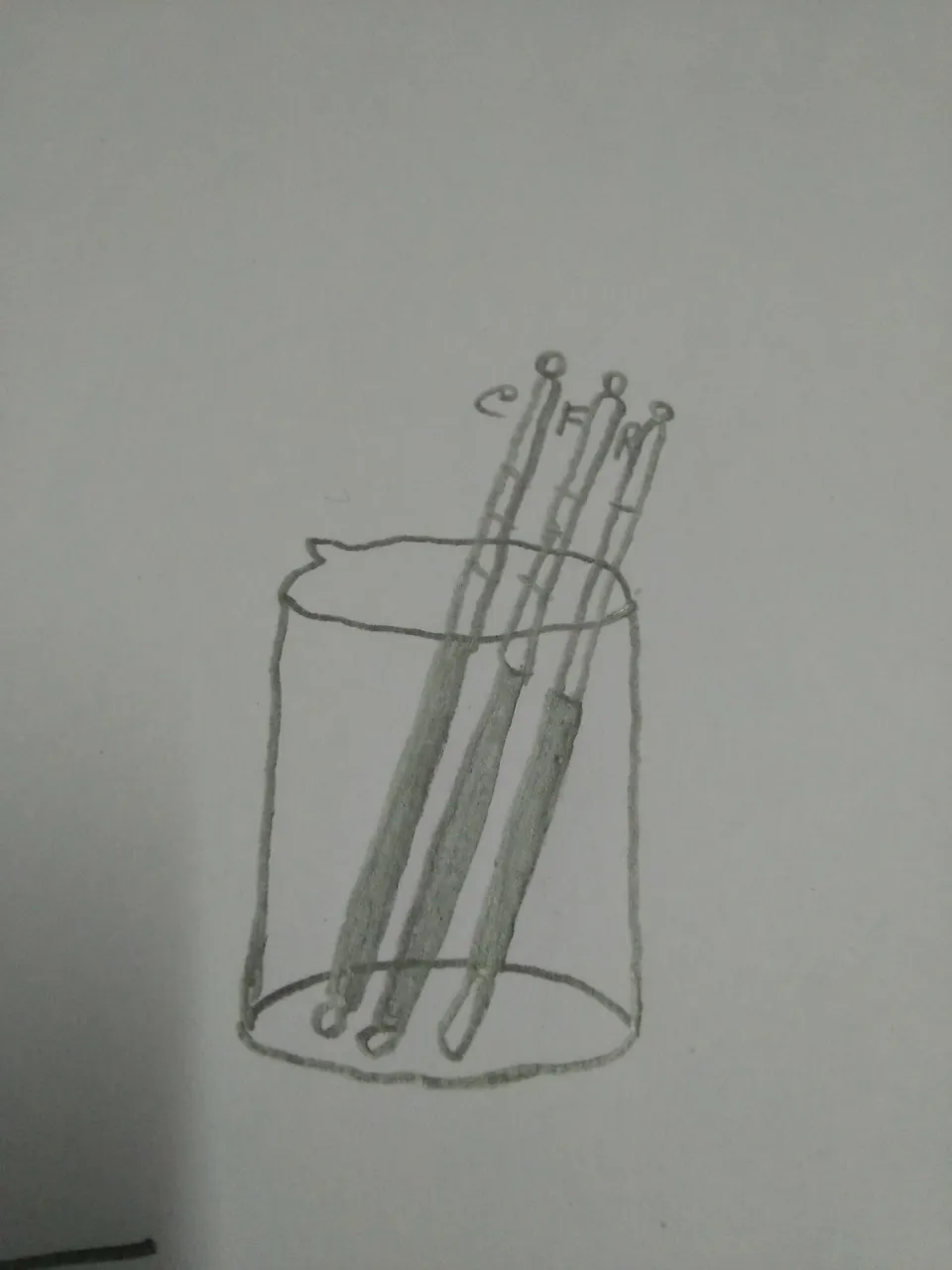 IMG20180227021115.jpg
