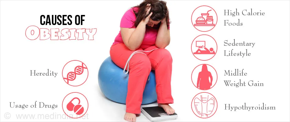 causes-of-obesity.jpg