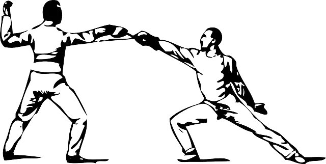 fencing-37360_640.png