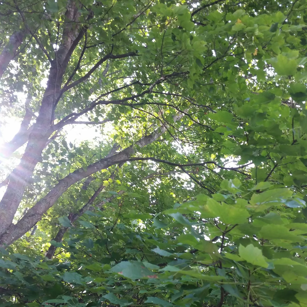 20170822_104845-1.jpg