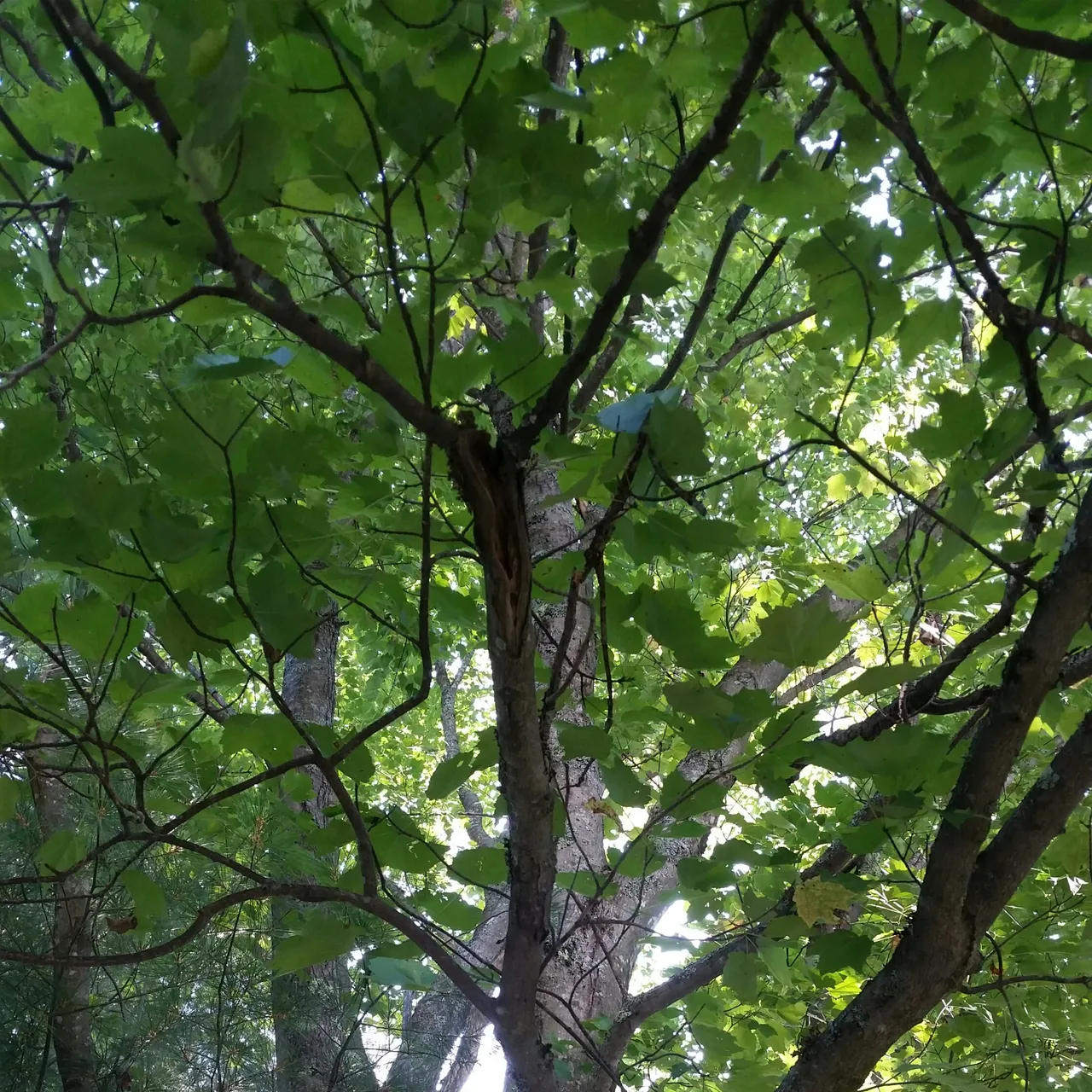 20170822_104912-1.jpg