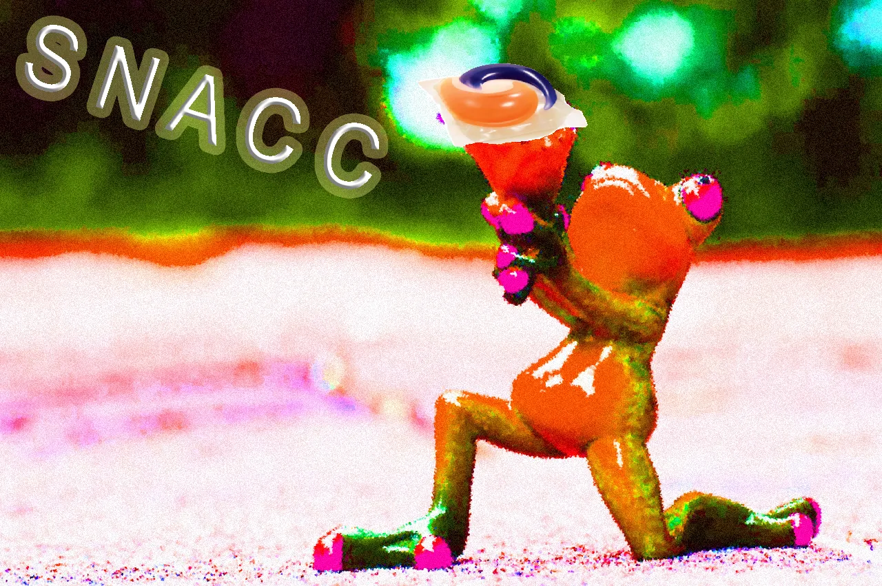 S N A C C.png