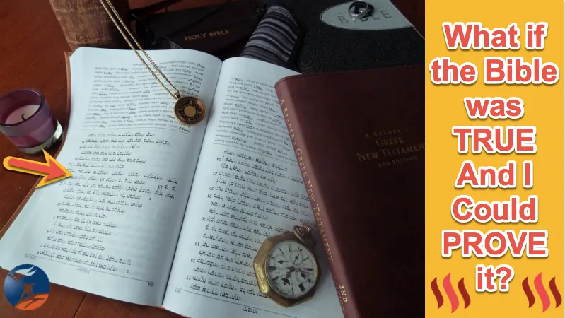 Bibles_true-Cover.png