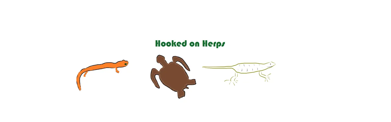 Hooked_on_herps_1.png