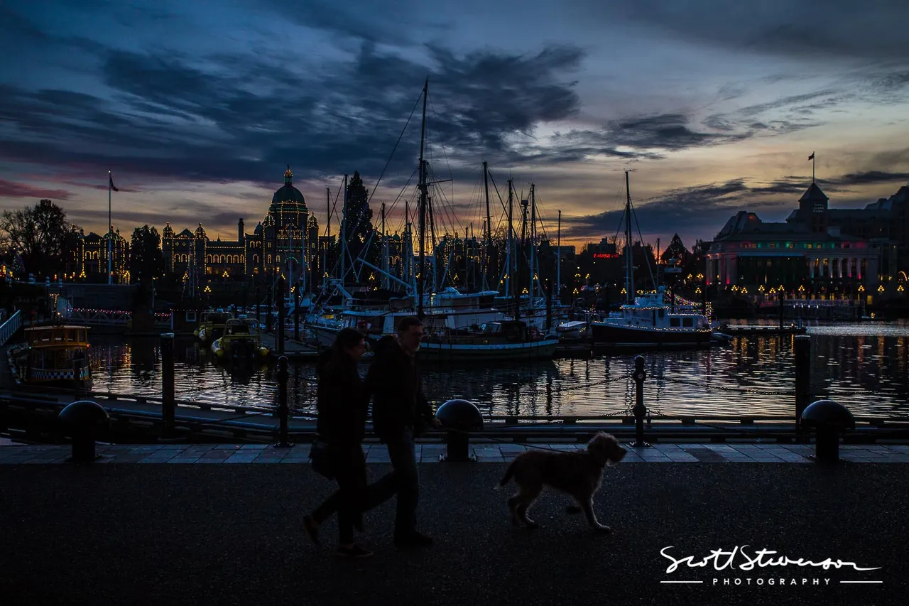 Inner Harbour-1.jpg