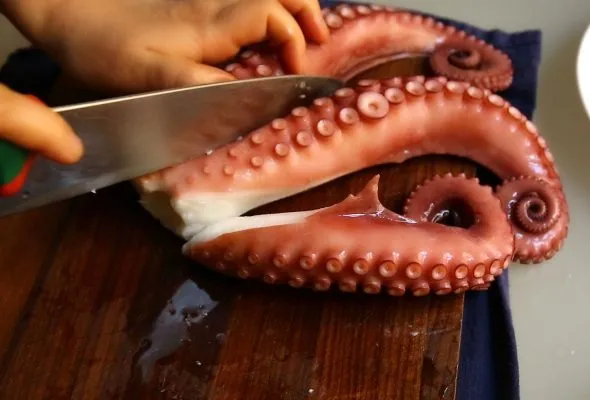 tentacles-590x400.jpg