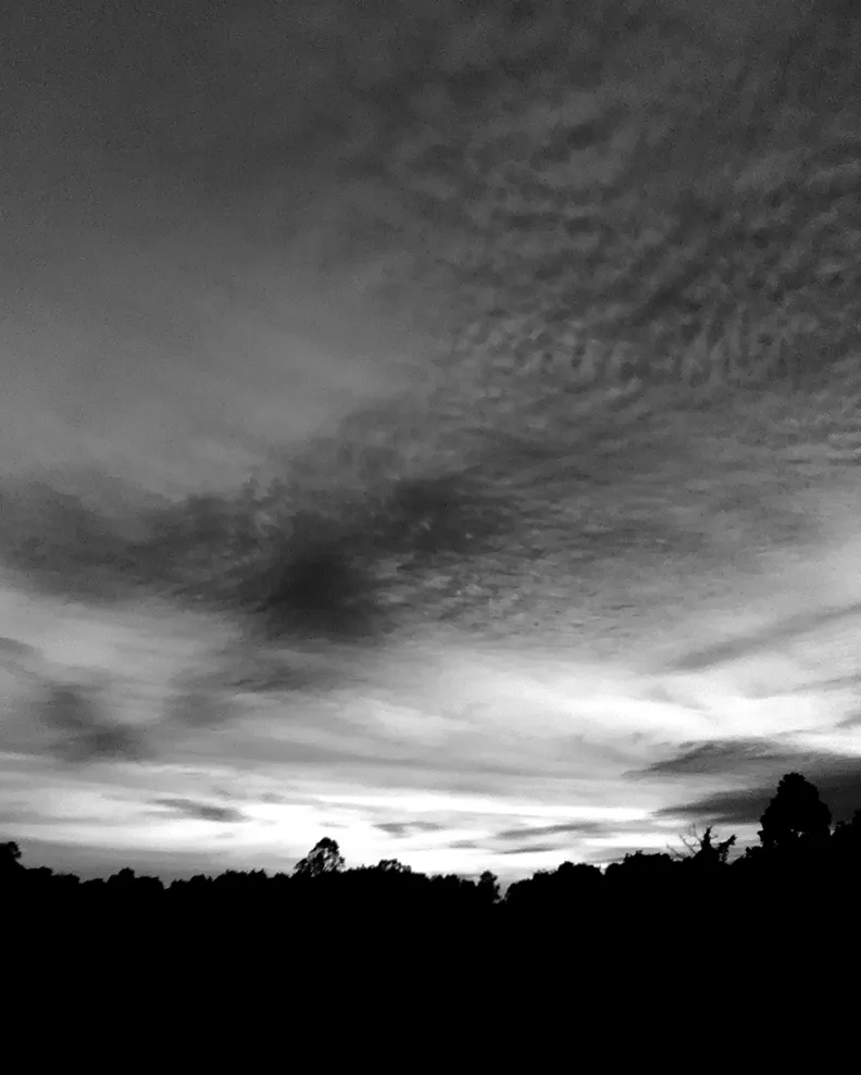 monomad-bw-skies2.jpg