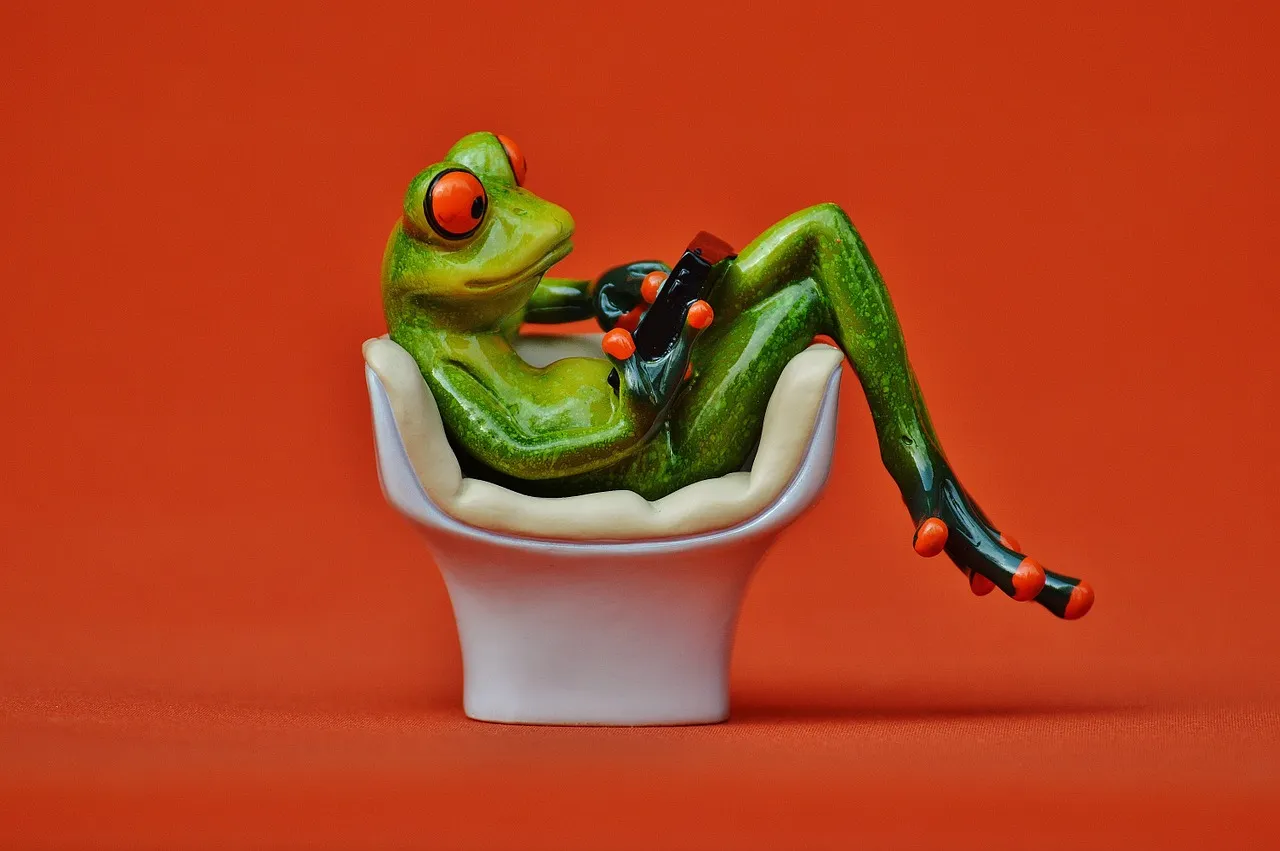 frog-1250498_1280.jpg