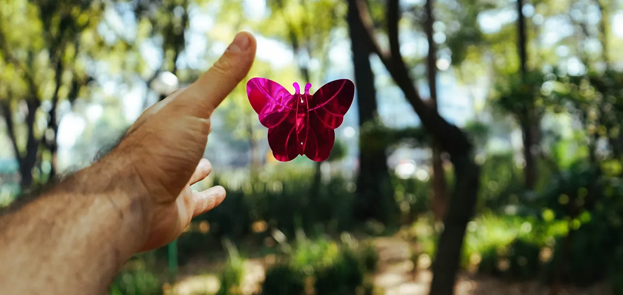 let-go-butterfly2.jpg