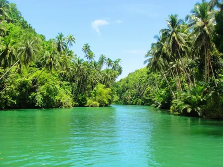 440px-Loboc_river.png