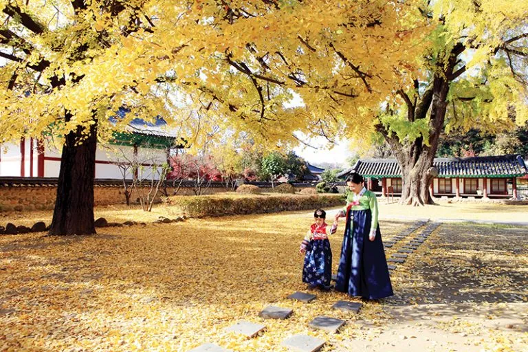 JEONJU TOUR 2.jpg