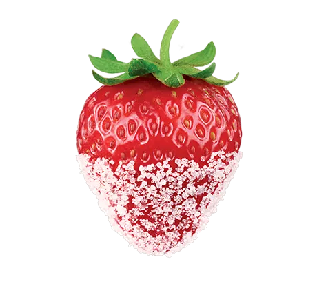 Thanks-Strawberry.png