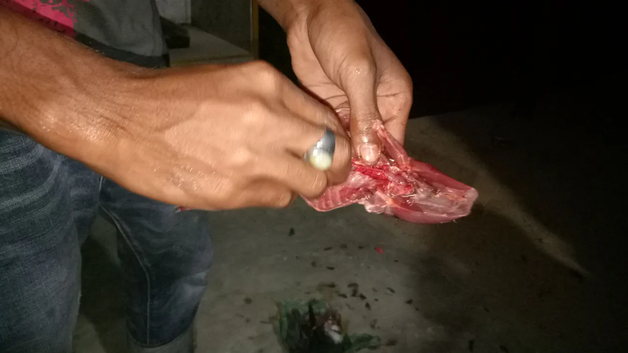 IMG20180306002701.jpg