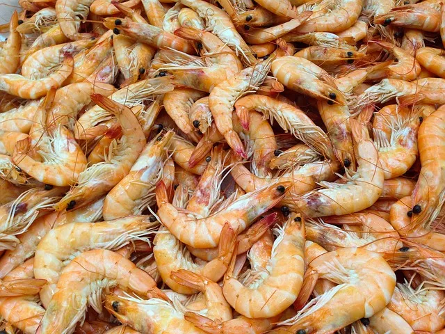 shrimp-727214_640.jpg