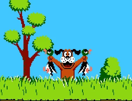 duck_hunt-455x350.jpg