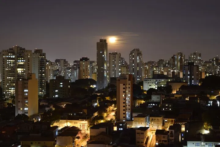 lapa-2939472__480.jpg