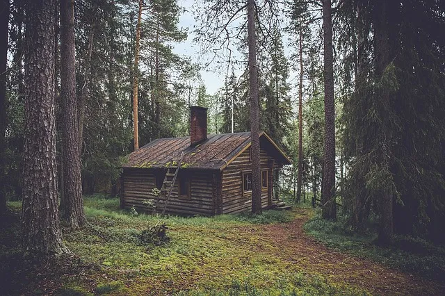 cabin-1081733_640.jpg