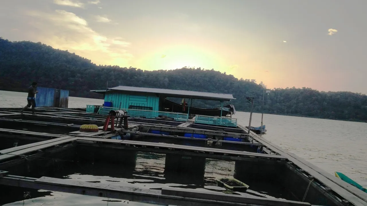 IMG20160217183313.jpg