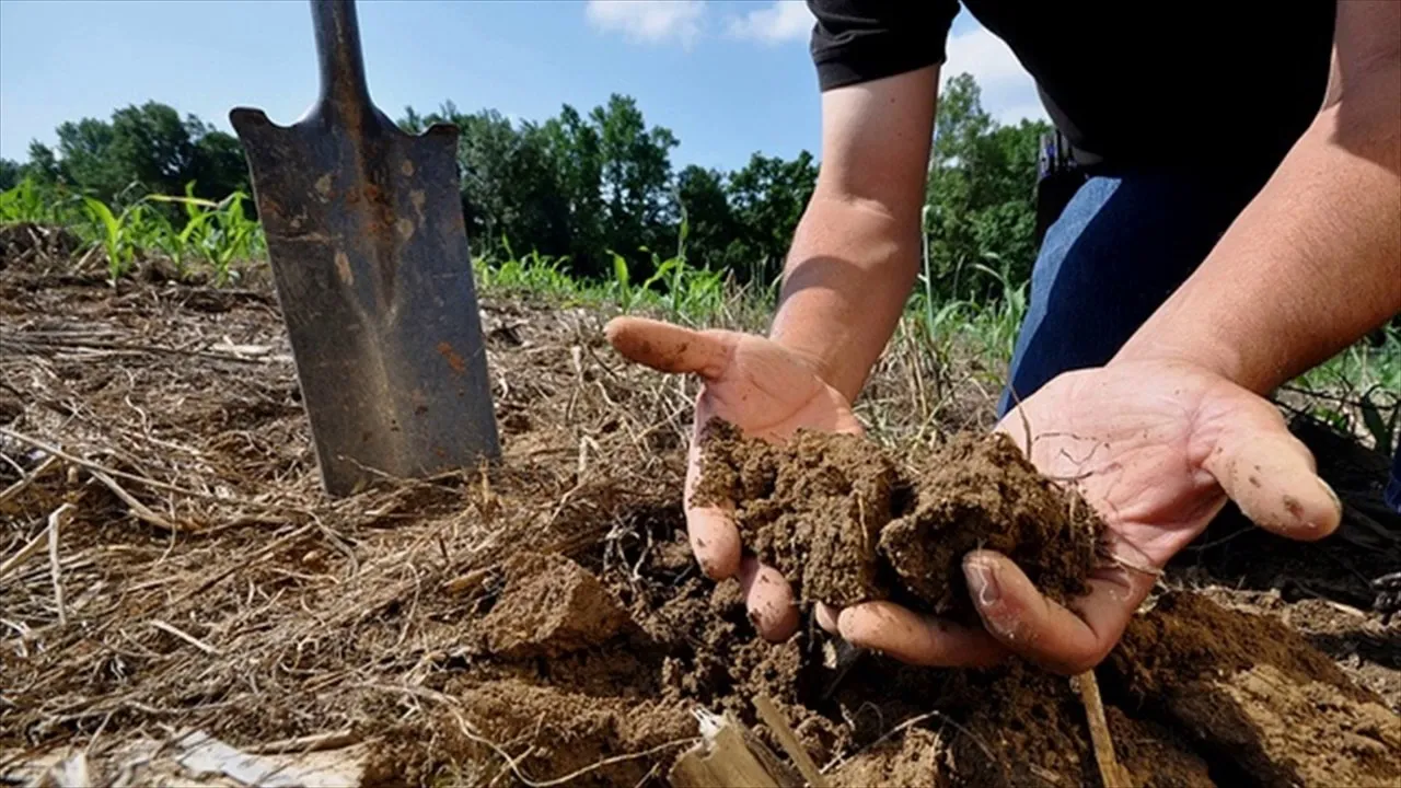 Soil Management.jpg