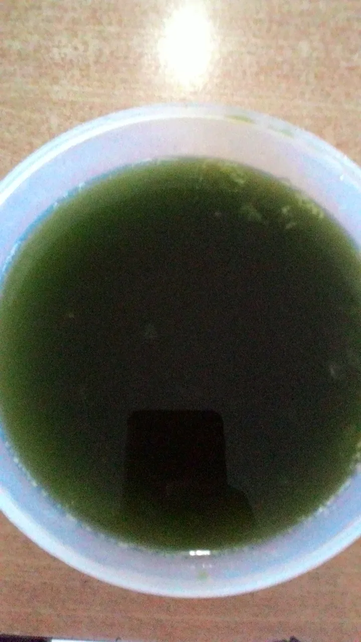 P_20170819_143624.jpg