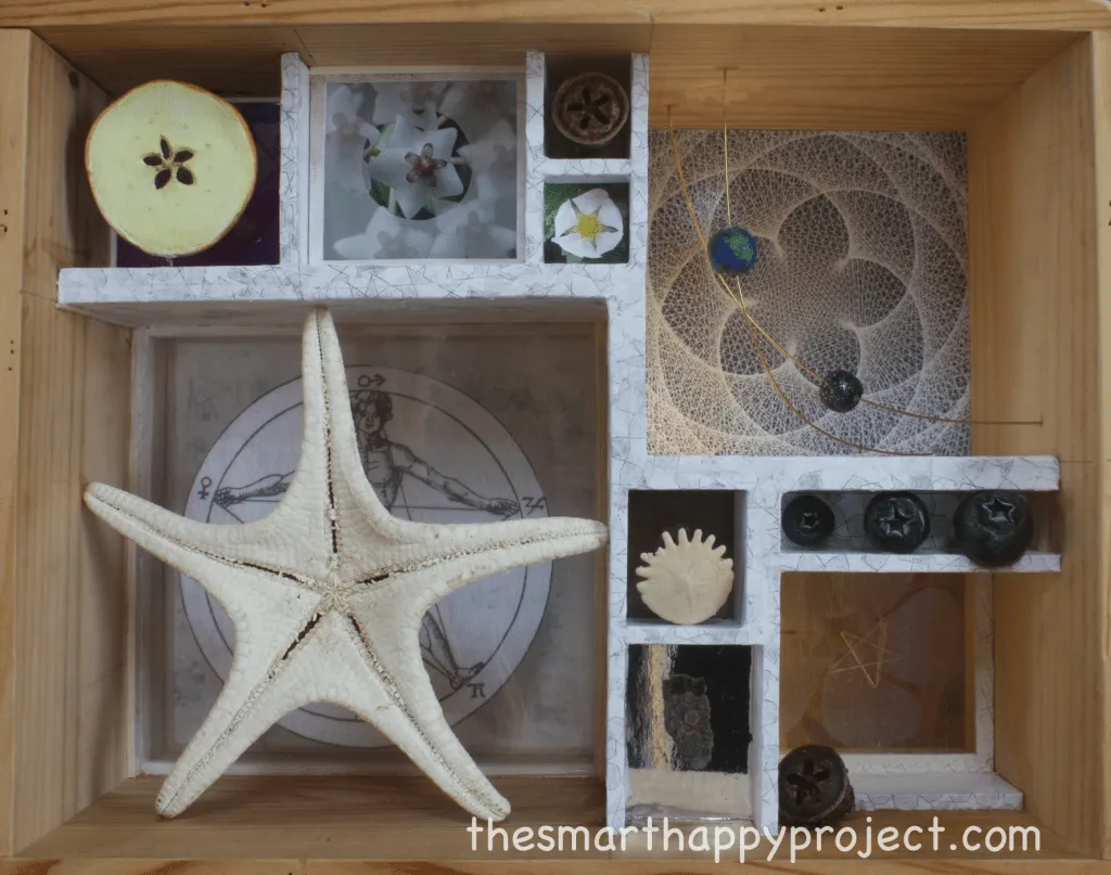 collection-box-AR.png