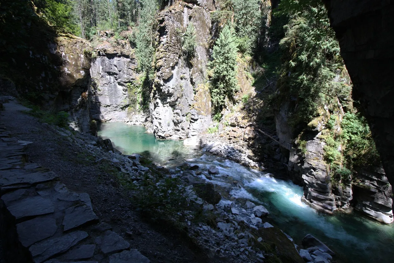 River Below 5.jpg