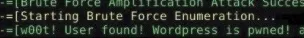 wordpress pwned.jpg