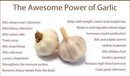 power-of-garlic-1.jpg