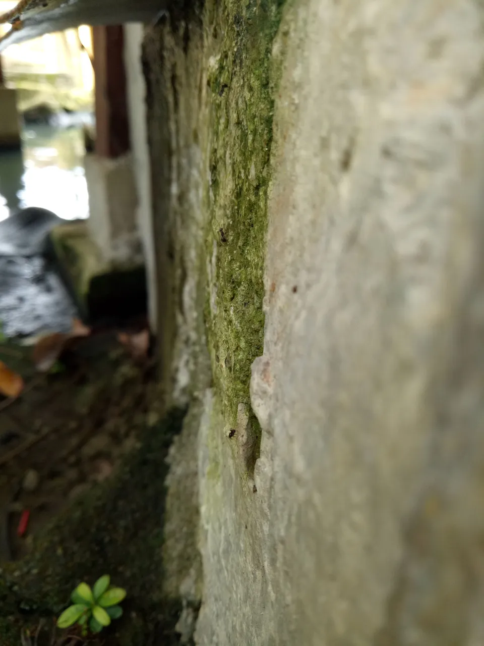IMG20171104115719.jpg