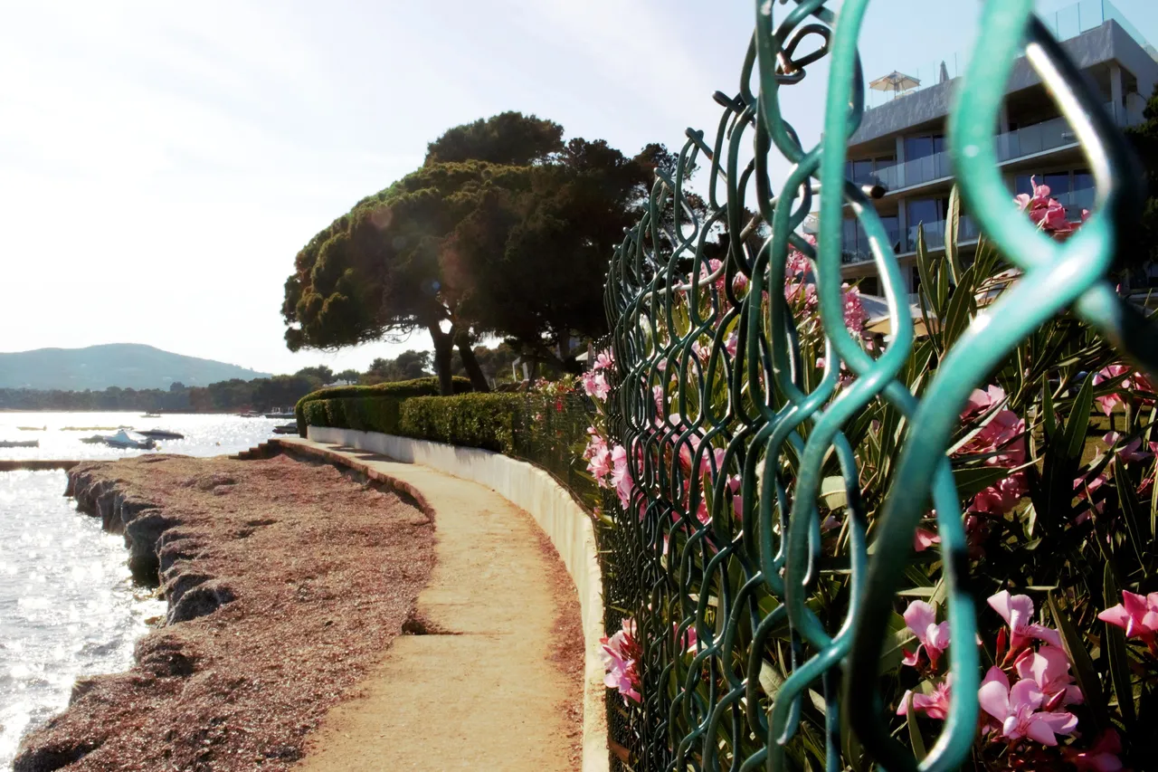 IBIZA COASTLINE.jpg