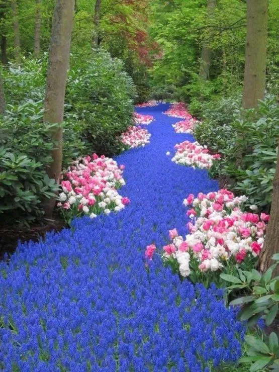 rivers-of-flowers.jpg