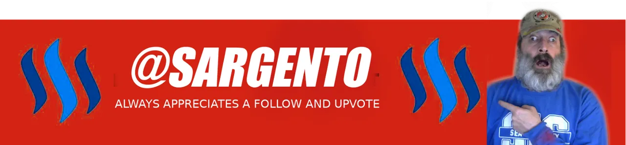 BOTTOMBANNERSTEEM.png